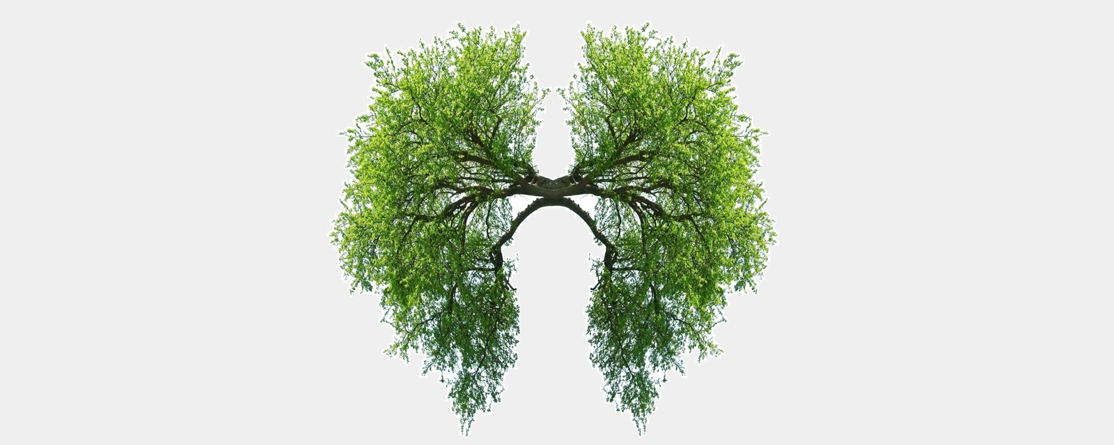 Gut-lung axis - Enhanced