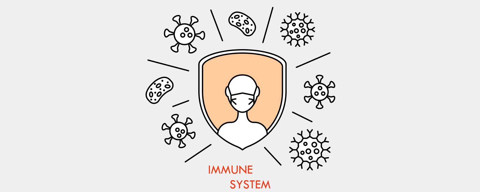 A SARS-CoV-2 immune response