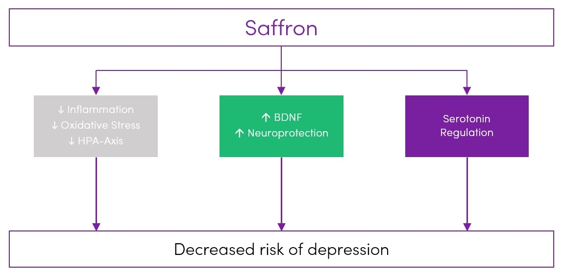 Saffron mechanisms of action