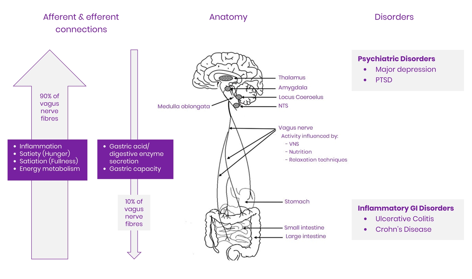 What Does HRV and the Vagus Nerve Have to Do With Anxiety? - Lief Blog