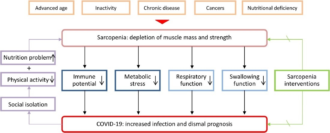 Long COVID and malnutrition Figure 1