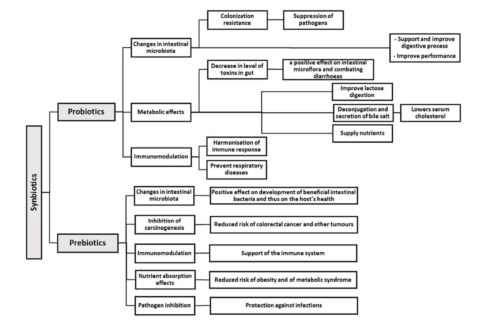 Prebiotic vs Probiotic Fig 2