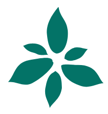 Into Health Nutrition & Naturopathy