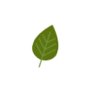 Whole Naturopathy