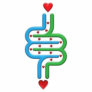 Pure Gut Health