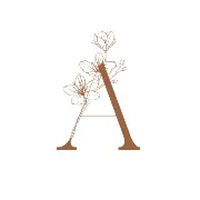 The Butterfly Bloom Naturopathy