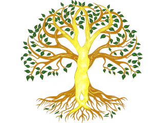 Blue Mountains Wellness Clinic