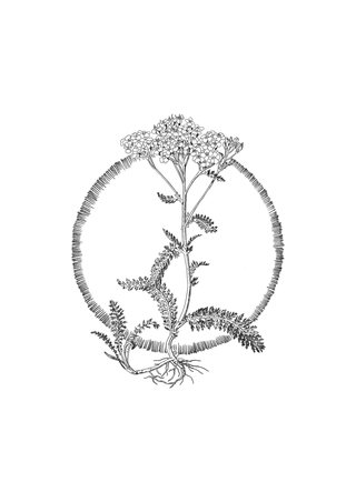 Agrarian Apothecary