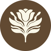 Woven Health