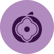 Plum Wellness
