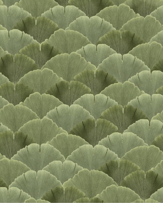 Good Morning Naturopathy