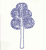 Annie Barrett Naturopath