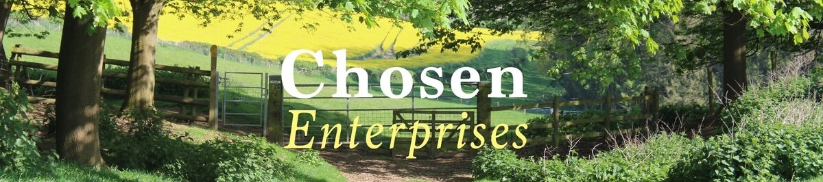Chosen Enterprises