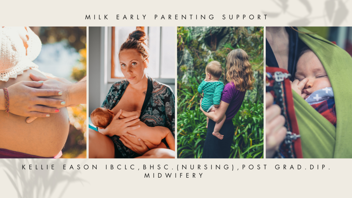 Milk Early Parenting Support