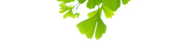 Renew Naturopathy
