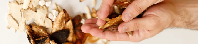 Dr. Nathen Polemikos