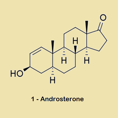 1-androsterone