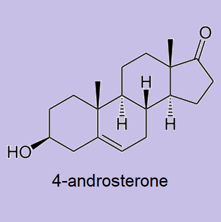 4-androsterone