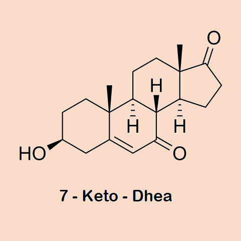 7-keto-dhea