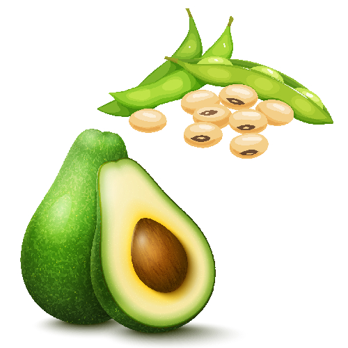 Avocado soy unsaponifiables (asu)