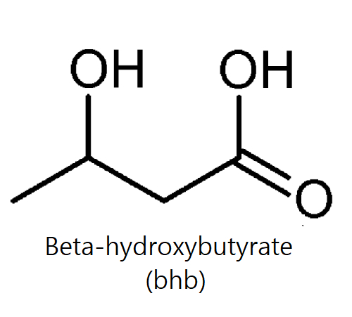 Beta-hydroxybutyrate (bhb)