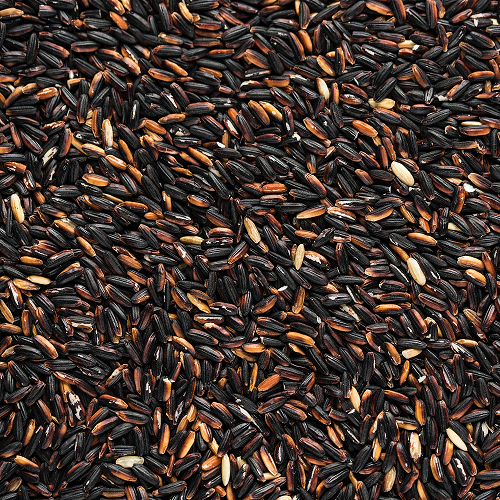 Black rice