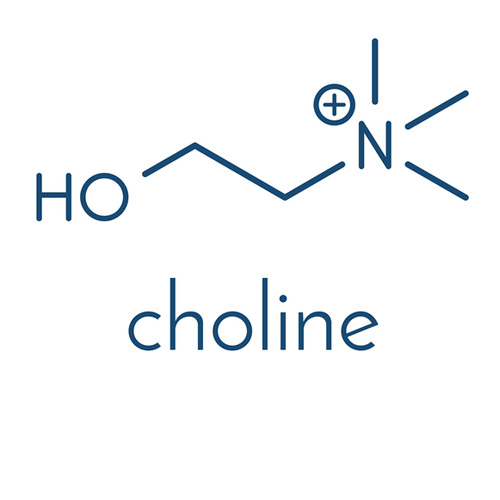 Choline