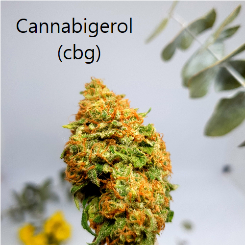 Cannabigerol (cbg)