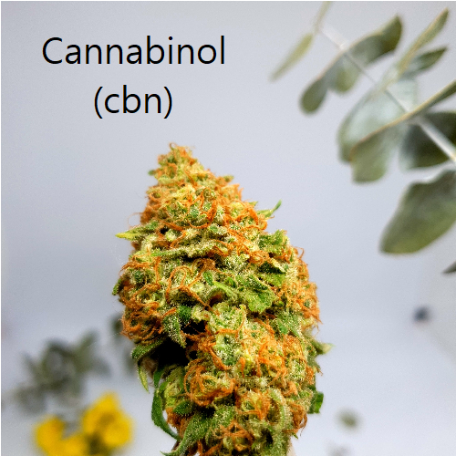 Cannabinol (cbn)