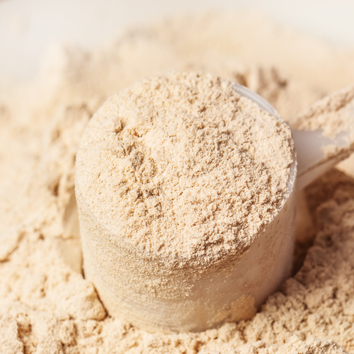 Casein protein