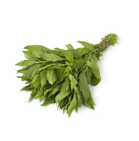 Chenopodium oil