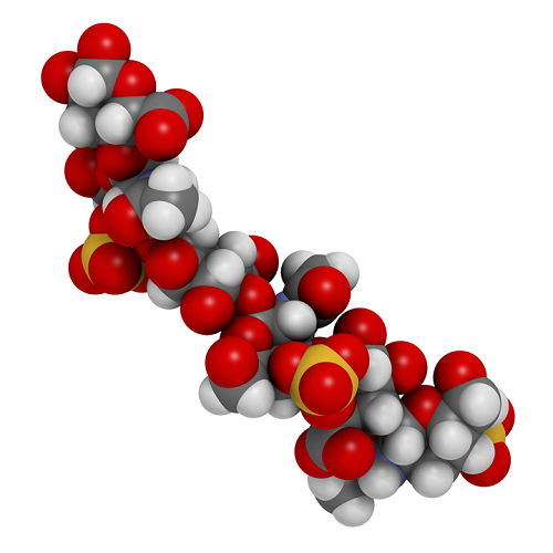 Chondroitin sulfate