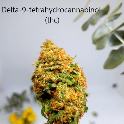 Delta-9-tetrahydrocannabinol (thc)