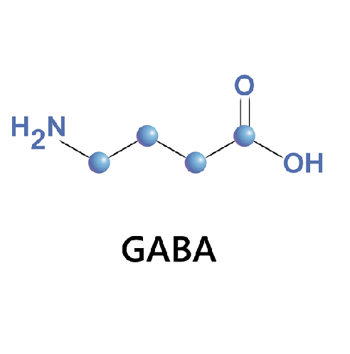 Gamma-aminobutyric acid (gaba)