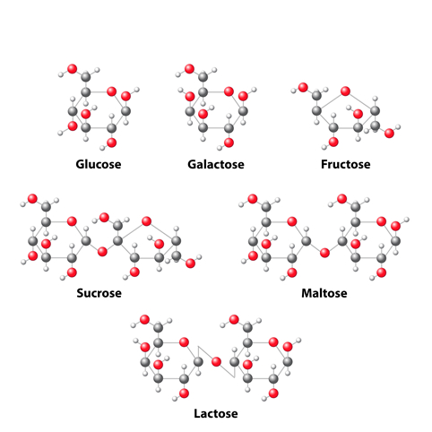 Glyconutrients