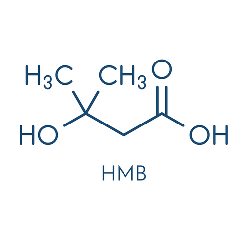 Hydroxymethylbutyrate (hmb)
