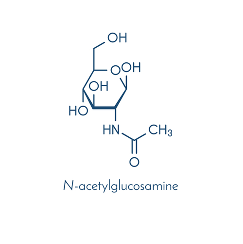 N-acetyl glucosamine (nag)