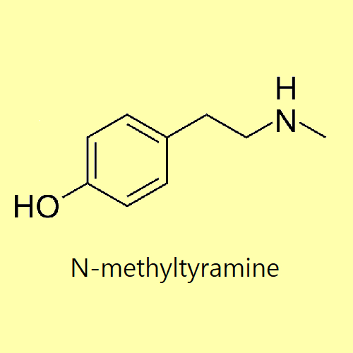 N-methyltyramine