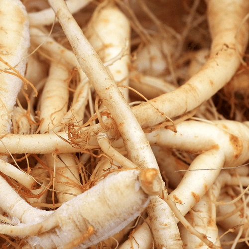 American ginseng