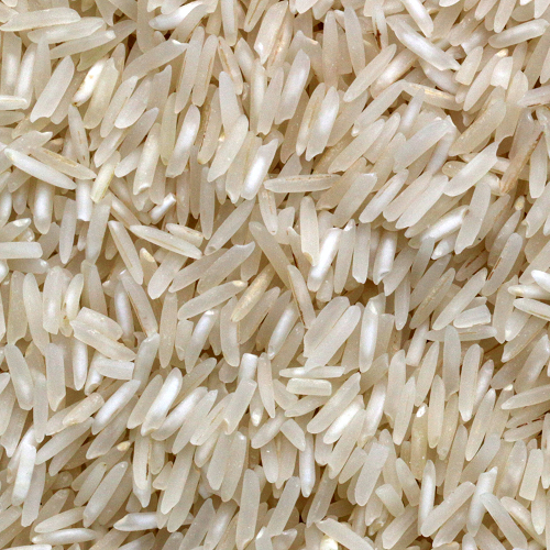 Rice protein