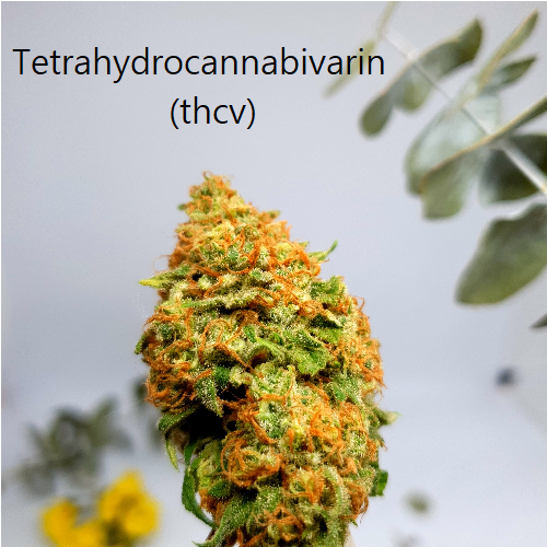 Tetrahydrocannabivarin (thcv)