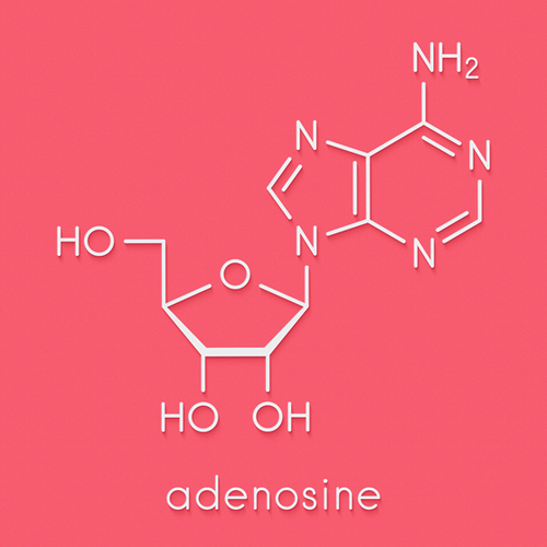 Adenosine