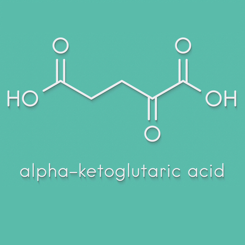 Alpha-ketoglutarate (akg)