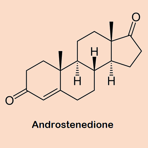 Androstenedione