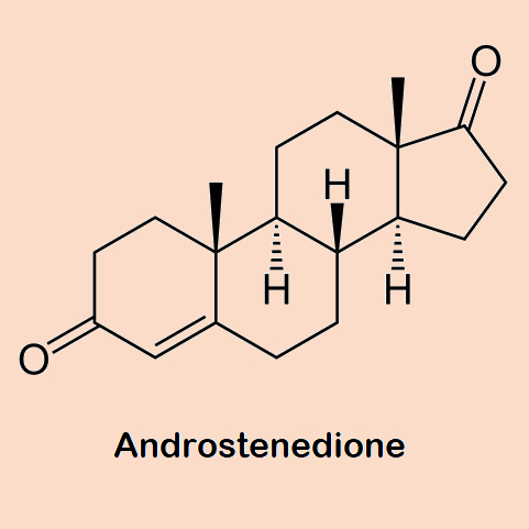 Androstenedione vital.ly