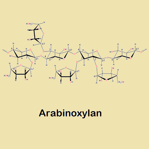 Arabinoxylan