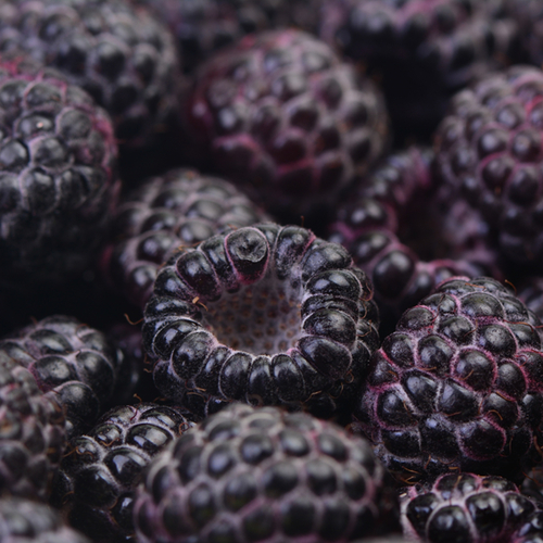 Black raspberry