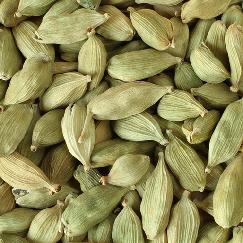 Cardamom