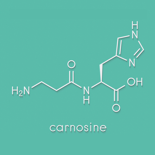 Carnosine