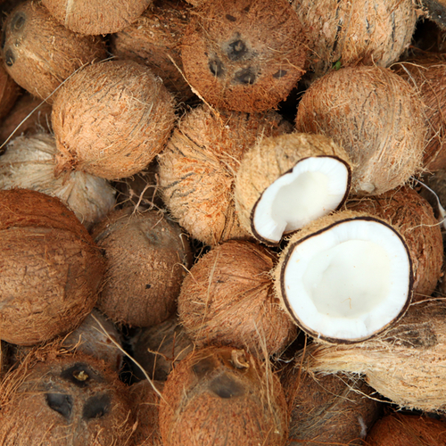 Coconut